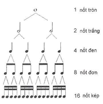 Quan hệ trường độ