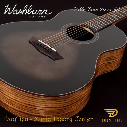 Guitar Acoustic Washburn Bella Tono Novo S9 