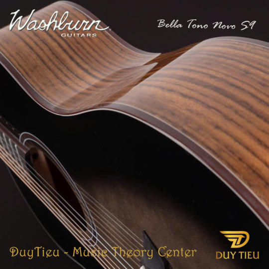 Guitar Acoustic Washburn Bella Tono Novo S9 