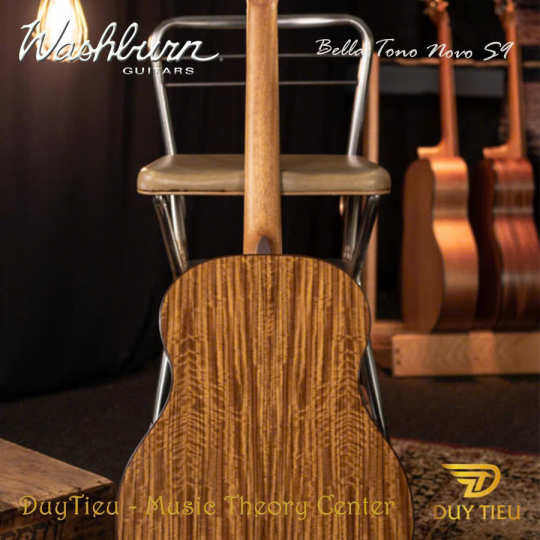 Guitar Acoustic Washburn Bella Tono Novo S9 
