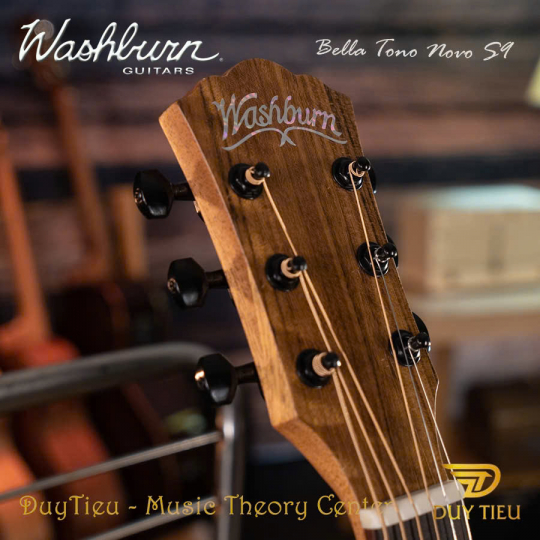 Guitar Acoustic Washburn Bella Tono Novo S9 