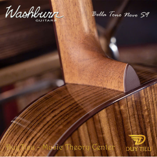 Guitar Acoustic Washburn Bella Tono Novo S9 