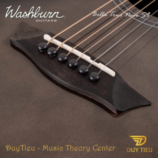 Guitar Acoustic Washburn Bella Tono Novo S9 