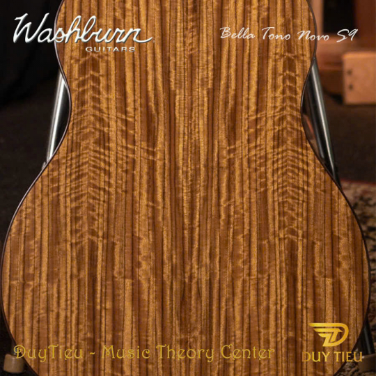 Guitar Acoustic Washburn Bella Tono Novo S9 