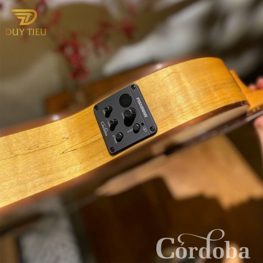 Guitar Classic Cordoba C5CET Limited