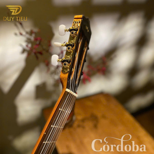 Guitar Classic Cordoba C5CET Limited