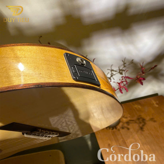 Guitar Classic Cordoba C5CET Limited