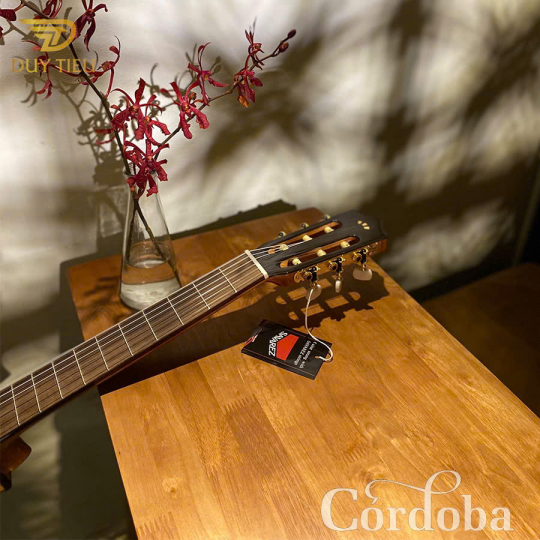 Guitar Classic Cordoba C5CET Limited