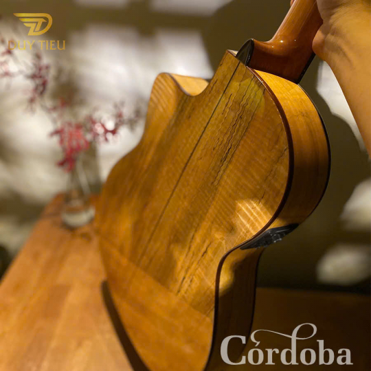 Guitar Classic Cordoba C5CET Limited