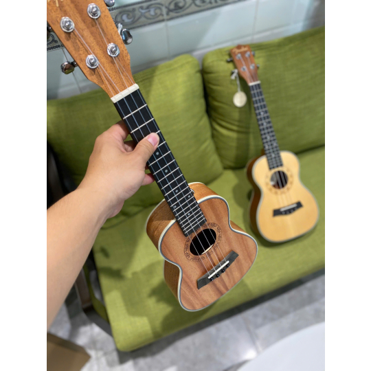 U-Ukelele Fender (390-650)