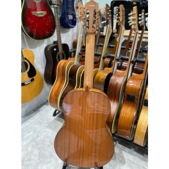 Guitar Classic Salvandor Cort CC10