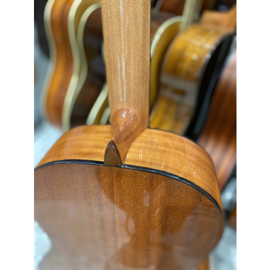 Guitar Classic Salvandor Cort CC10