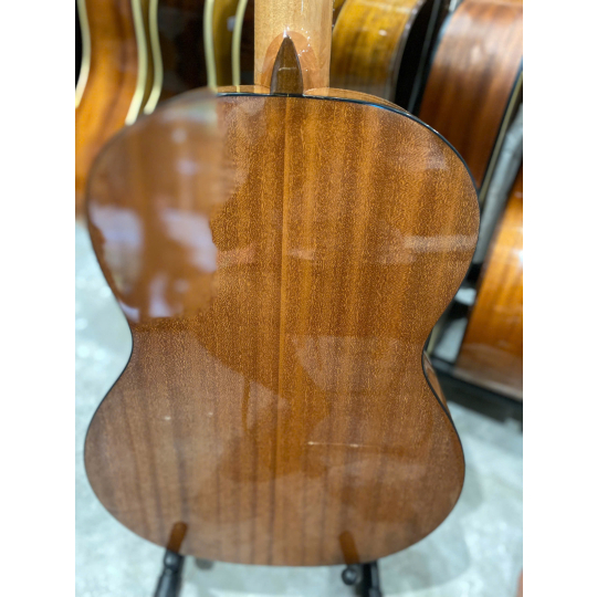 Guitar Classic Salvandor Cort CC10