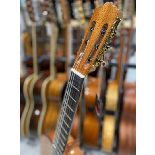 Guitar Classic Salvandor Cort CC10