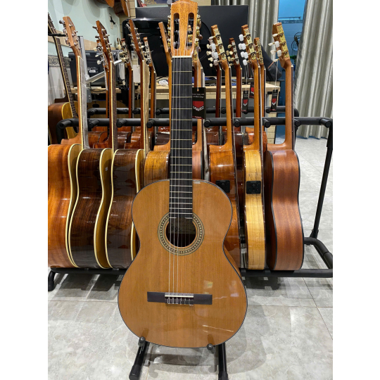 Guitar Classic Salvandor Cort CC10