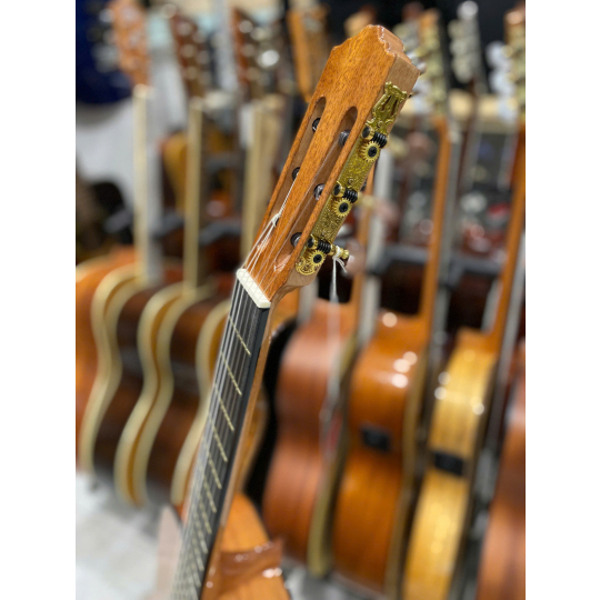 Guitar Classic Salvandor Cort CC10