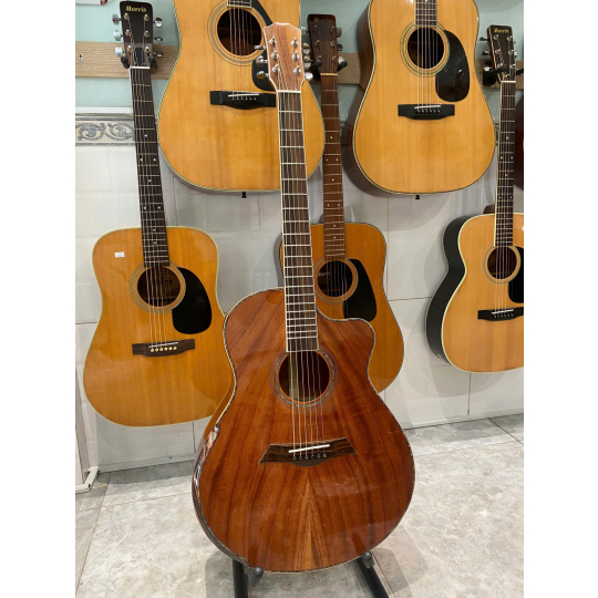 Guitar Acoustic Việt Nam