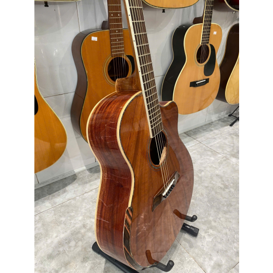 Guitar Acoustic Việt Nam