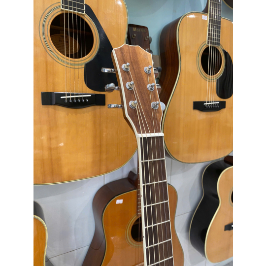 Guitar Acoustic Việt Nam