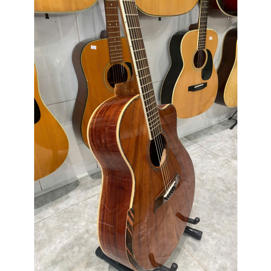 Guitar Acoustic Việt Nam