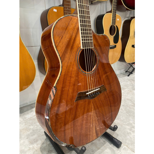 Guitar Acoustic Việt Nam
