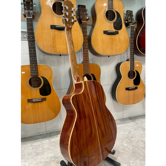 Guitar Acoustic Việt Nam