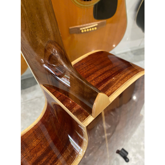 Guitar Acoustic Việt Nam